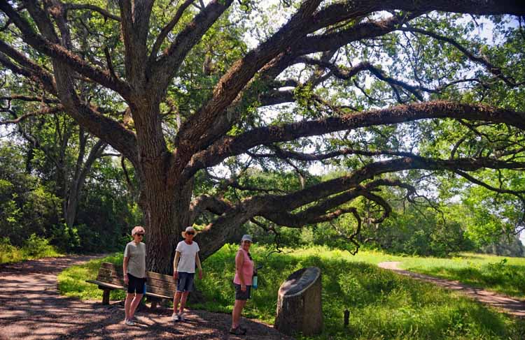 at brazos bend sp